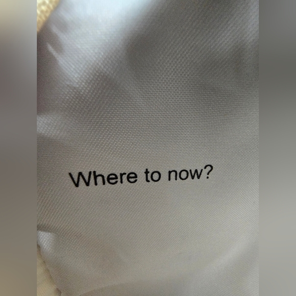 Lululemon Bone Color Camera Bag - Picture 3 of 9